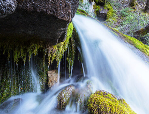 Nacedero del Urederra
