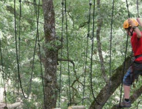 Parque de Aventura de Aibar