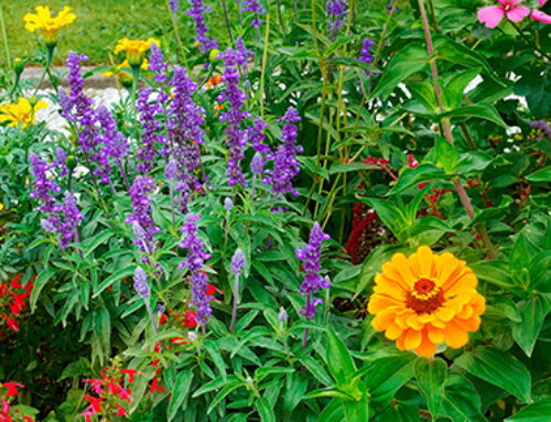 Parque de los Sentidos (Noáin)